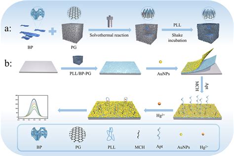 Electrochemical Aptasensor Based On Black Phosphorus Porous Graphene