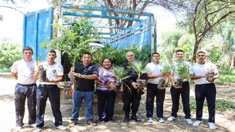 MPP Entrega Plantones Forestales Y Ornamentales A La Escuela De