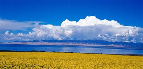 Qinghai Lake, Kokonor Lake, Qinghaihu Bird Island