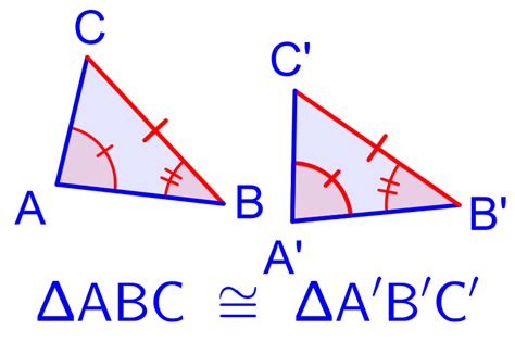 数学中的同余意味着什么？