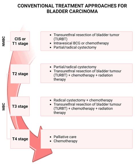 Treatment Approaches For Bladder Carcinoma Medizzy