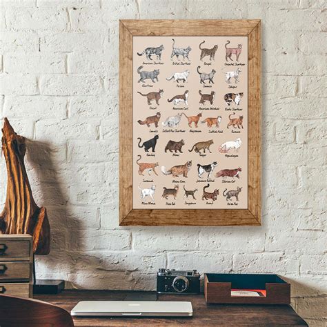 All Cat Breeds Canvas Poster Prints Wall Art Decor – Cadadesigns