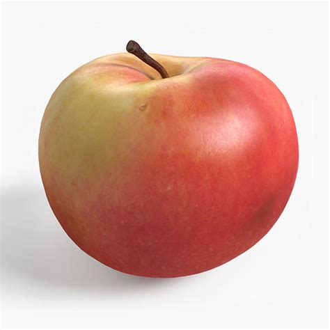 Apple 3d Model Cgtrader