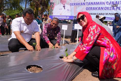 Sofha Marwah Bahtiar Mulai Gerakan Tanam Cabai Di Kabupaten Wajo