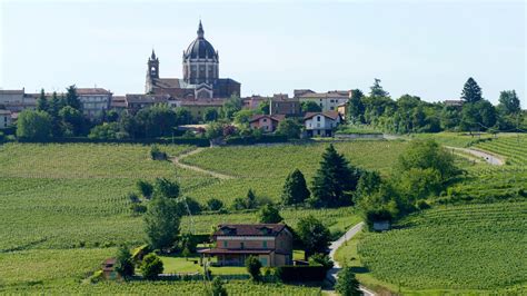 Nizza Docg Piemontese Barbera Appellation Wine Searcher