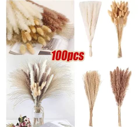 100 Unidades De Buquê Seco Natural Buquê De Capim dos pampa