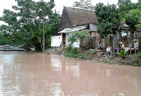 Senamhi Prevé En La Selva Lluvias Intensas Tormentas Eléctricas Y