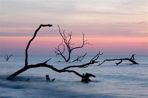 Hunting Island Beach Sunrise, SC, USA