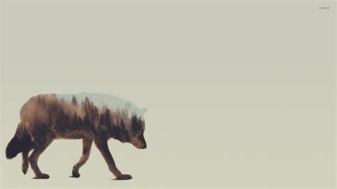 Minimalist Wolf K Wallpapers Top Free Minimalist Wolf K Backgrounds