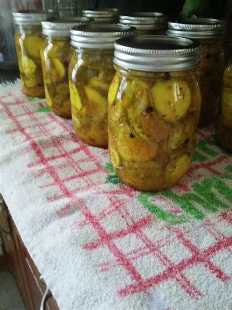 Canning And Cooking Iowa Style Bread And Butter Pickles Ball Recipe