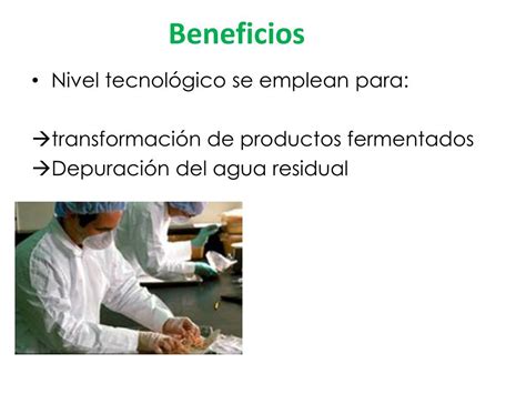 PPT IMPACTO DE LOS BIOFILMS EN LA INDUSTRIA ALIMENTARIA PowerPoint