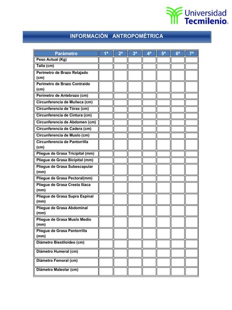 Formatodemediciones Pdf