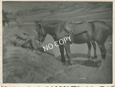 FOTO WK II Wehrmacht Soldat mit schönem Pferd an der Front E1 46 EUR 29