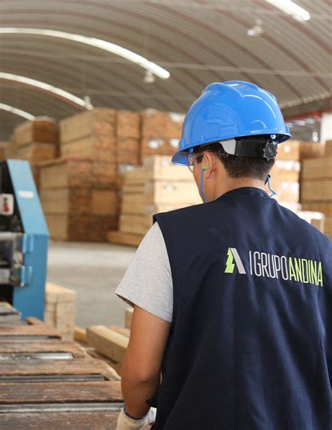 Maderera Andina Madera En Perú Una Empresa Del Grupo Andina