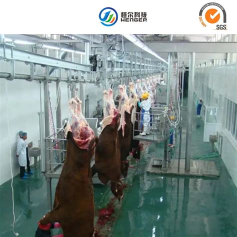 Durable Cattle Slaughter House Sheep Slaughtering Equipment With