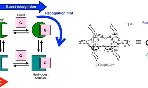 Controlling Ion Recognition In Reactive Host Guest Systems