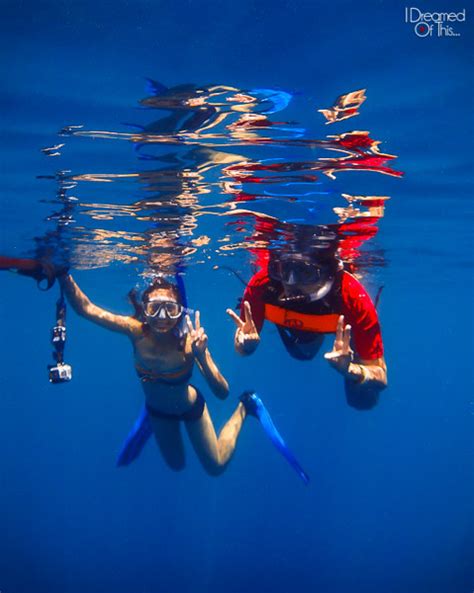 Discovery Fleet Liveaboard Lifelong Dreams On Island In The World