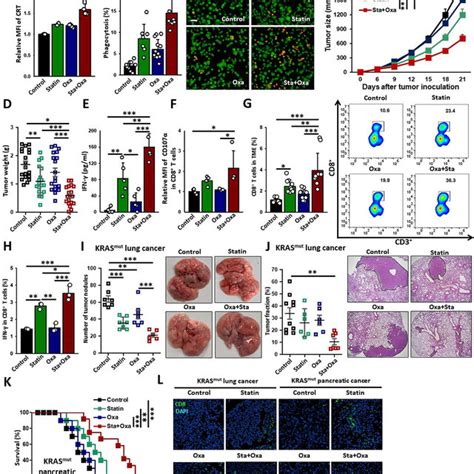 Combination Therapy Of Statin And Oxaliplatin Effectively Induces