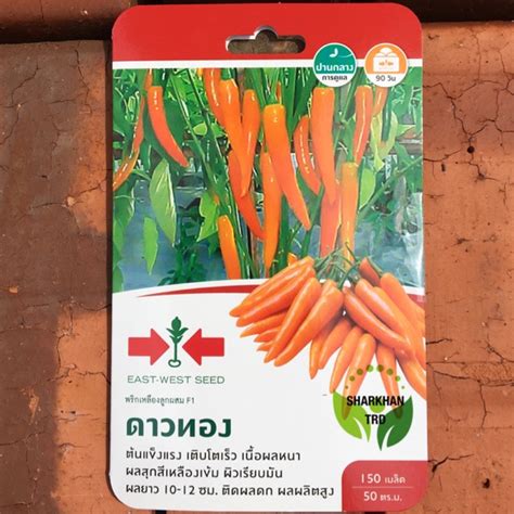 Mini Pack 150 Seeds GOLD STAR F1 Biji Benih Cili Oren Cap Panah Merah