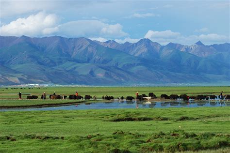 Amdo County Tibet Tours Tibet Travel Tibet Trip Tibet Tour