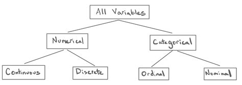 Stat The Taxonomy Of Data