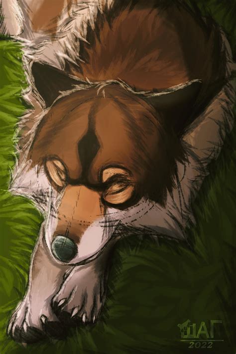 Wildcraft Art By Alminna On Deviantart