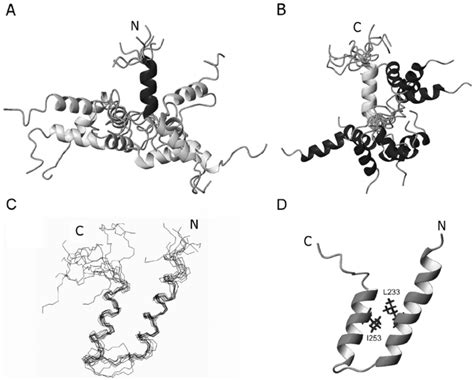 Solution Structures Of Tandem AT3 UIM12 In Free And Ub Bound Forms A