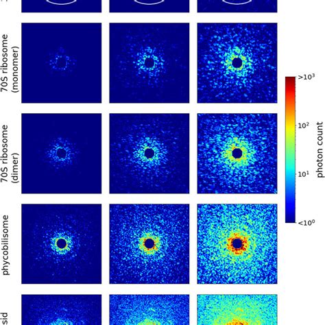 Simulated Diffraction Pattern Samples Created With Strong Beam