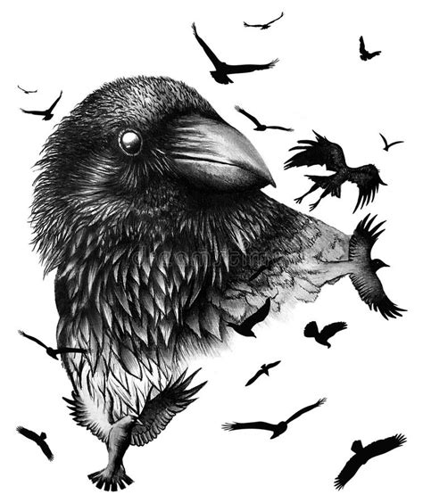 Charcoal Crow Drawing.Flying Birds. Hand Drawn Raven. - Illustration ...