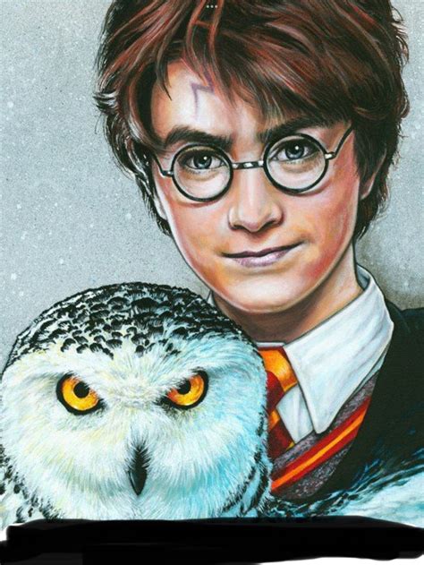 A Drawing Of Harry Potter Holding An Owl