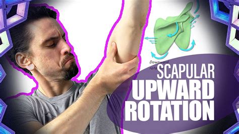 Upward Rotation Of The Scapula Overhead Movement Yoga Anatomy