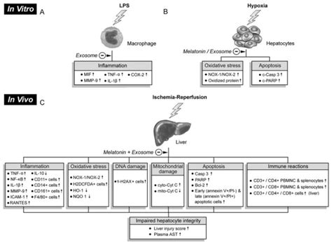 proposed | Exosome RNA