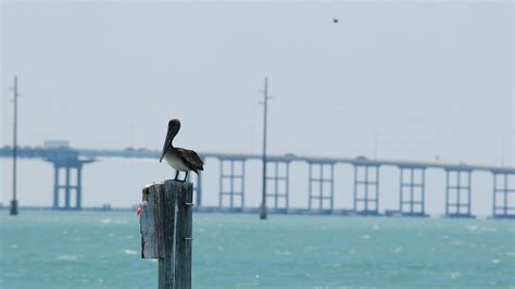 Queen Isabella Causeway Port Isabel Texas Vince Smith Flickr