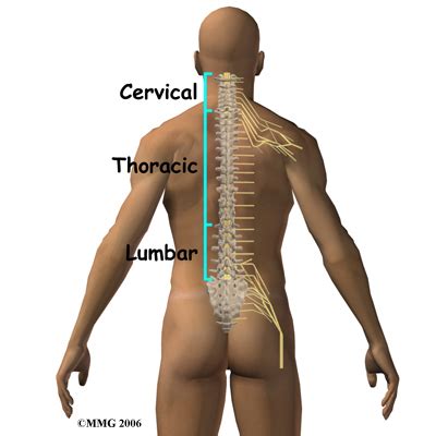 Whiplash Injury On Nerves