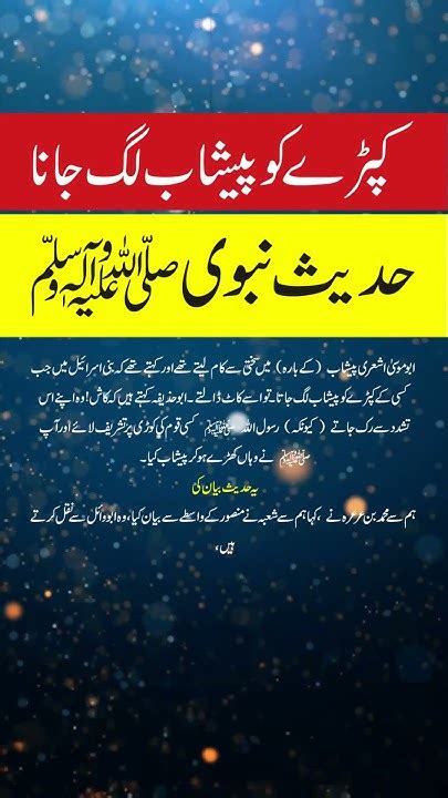 Sahih Bukhari Hadees No226 Shaihbukhari Hadis Hadith Hadeesinurdu