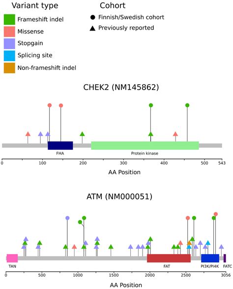 Genes Free Full Text Inherited Dna Repair Gene Mutations In Men