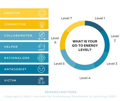 Energy Leadership Index Assessment