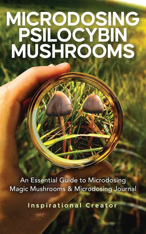 Microdosing Psilocybin Mushrooms An Essential Guide To Microdosing