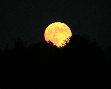 File:Harvest moon (1).jpg - Wikimedia Commons