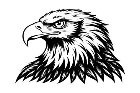 Bald Eagle Line Art Black Silhouette Graphic By Mk Graphics Store · Creative Fabrica