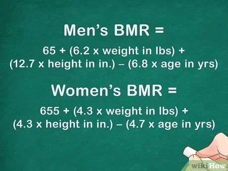 Weight Calorie Intake Calculator