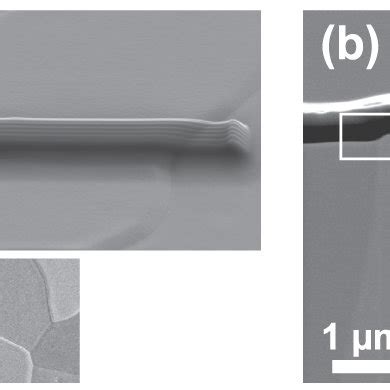 A SEM Image Of The Helium Plasma Exposed Tungsten Surface At A