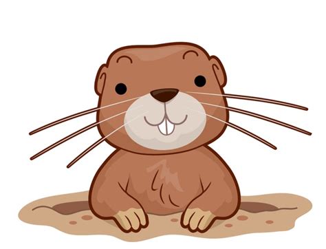 2 Thousand Cartoon Gopher Royalty Free Images Stock Photos And Pictures