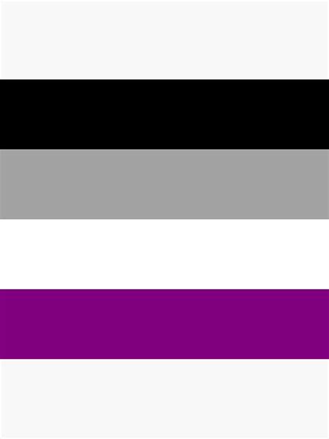 Asexual Pride Flag Poster For Sale By Snowymoonowl Redbubble