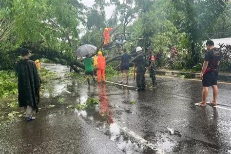 Cuaca Ekstrem Pohon Di Kota Makassar Tumbang Dalam Satu Hari