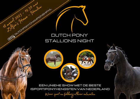 Dpc Stallions Night Nederlands New Forest Pony Stamboek