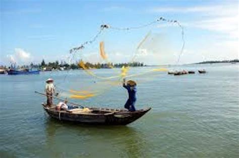 Hoi An Cam Thanh Korb Bootsfahrt W Zwei Wege Transfers Getyourguide