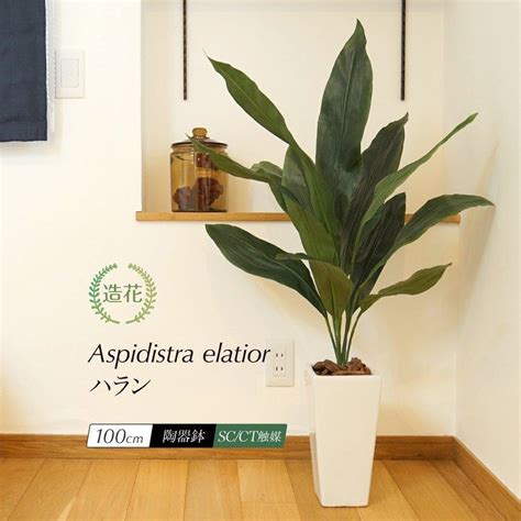 フェイクグリーン 大型 人工 観葉植物 造花 ハラン 100cm 鉢植 光触媒 Ct触媒 インテリア おしゃれ リアル お祝い 上等