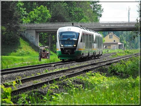 Ein Desiro Der Vbg Und Ein Weiterer Vertreter Seiner Gattung Liefern