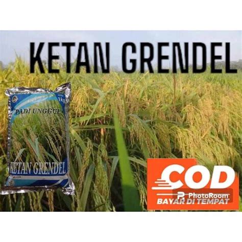 BENIH PADI KETAN GRENDEL KEMASAN 1KG Lazada Indonesia